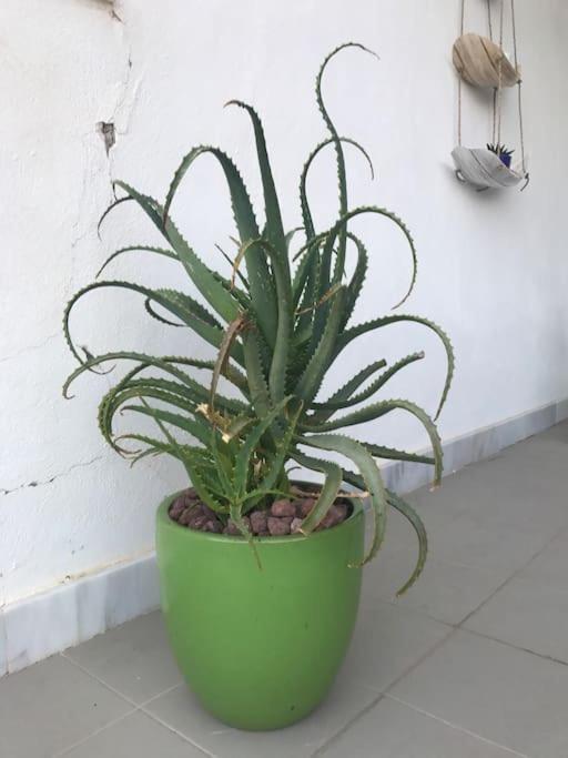 דירות אלמריה Vistas Cerro Negro מראה חיצוני תמונה